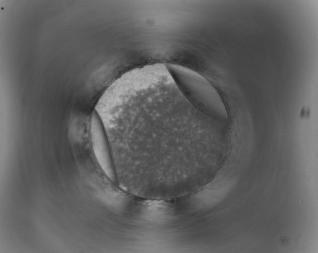 X0000111250528200907231556