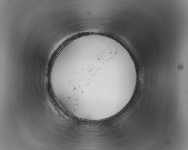 X0000111250532200907231555