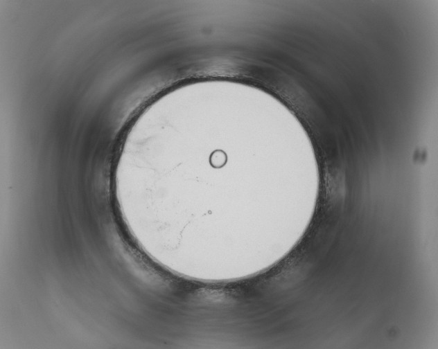 X0000111250534200907231555