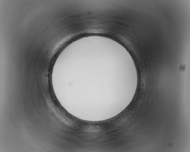 X0000111250535200907231555