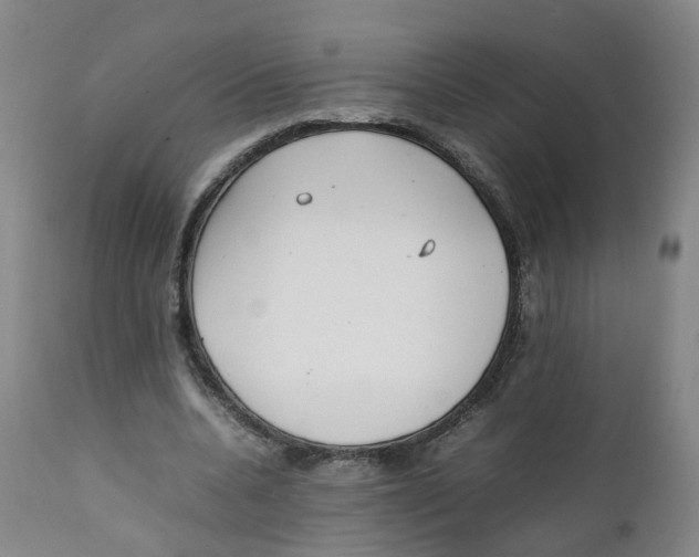 X0000111250536200907231555