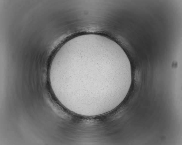 X0000111250540200907231555