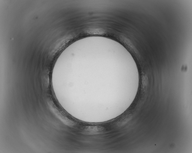 X0000111250541200907231555