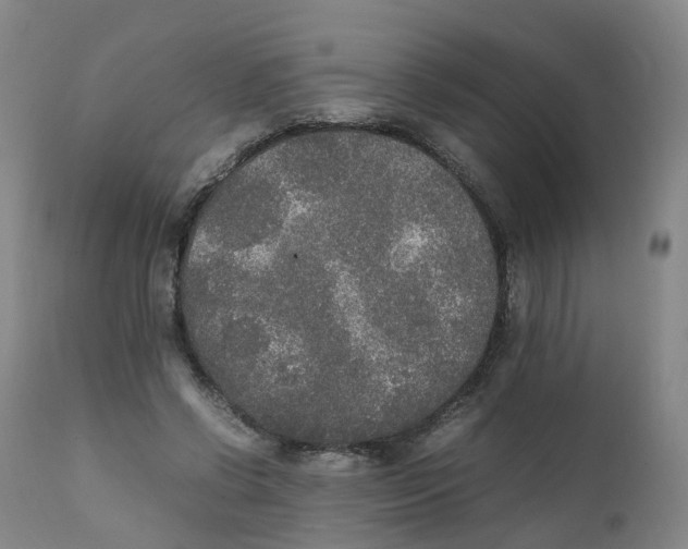 X0000111250542200907231555