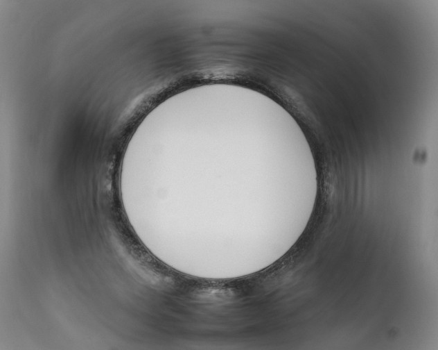 X0000111250543200907231555