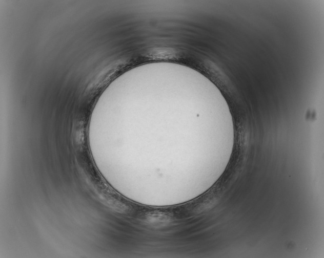 X0000111250549200907231555