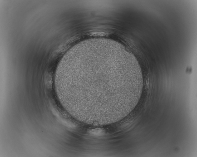 X0000111250551200907231555