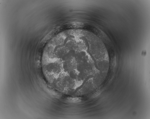 X0000111250553200907231555