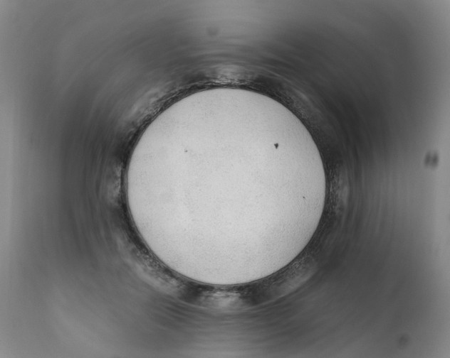 X0000111250554200907231555