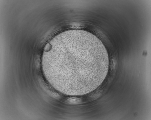 X0000111250557200907231555