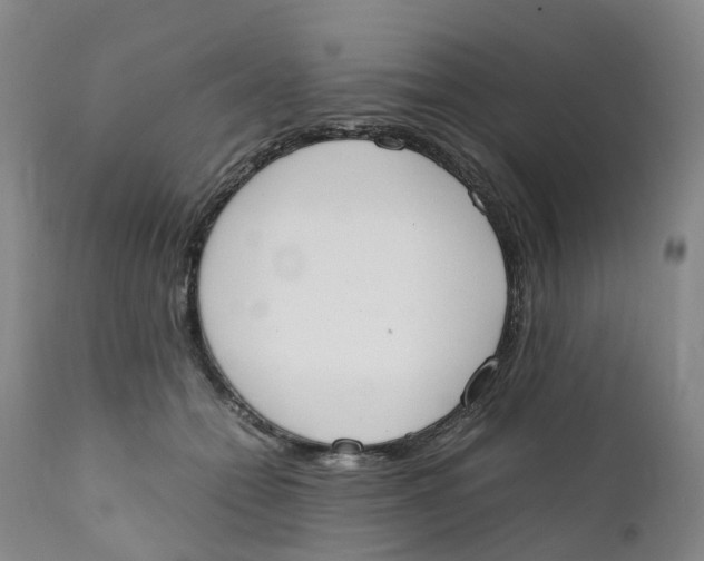 X0000111250558200907231555