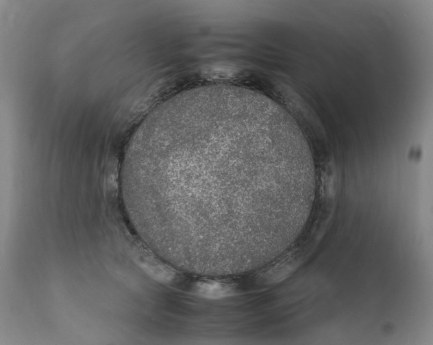 X0000111250561200907231555