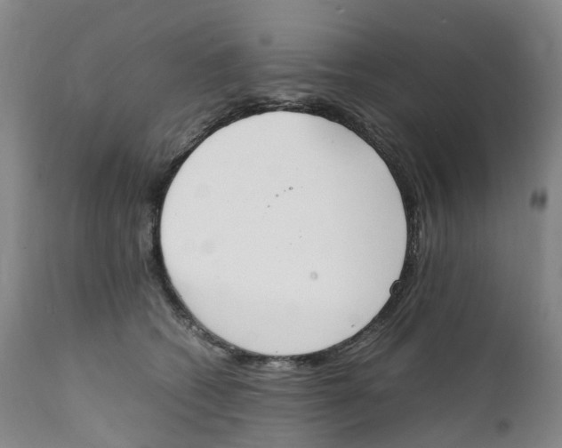 X0000111250562200907231555