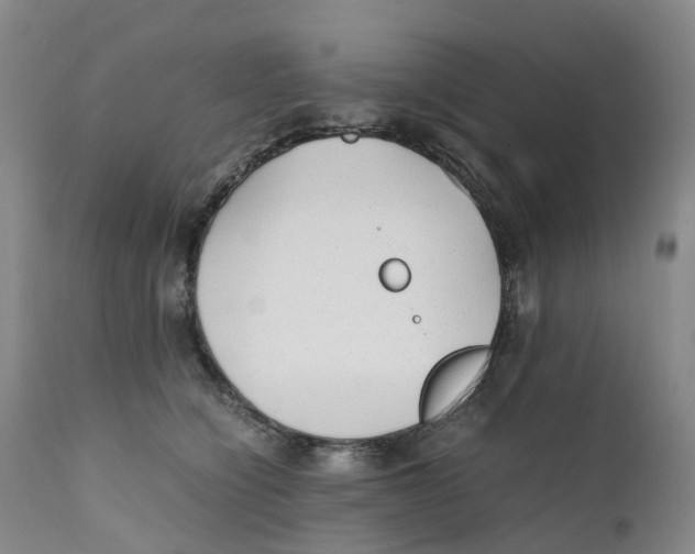 X0000111250564200907231556