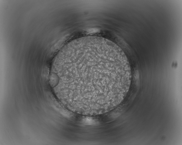 X0000111250565200907231556