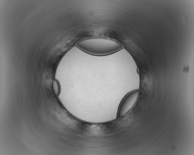 X0000111250566200907231556