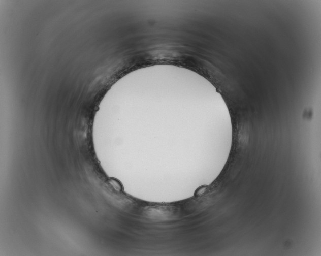 X0000111250567200907231556