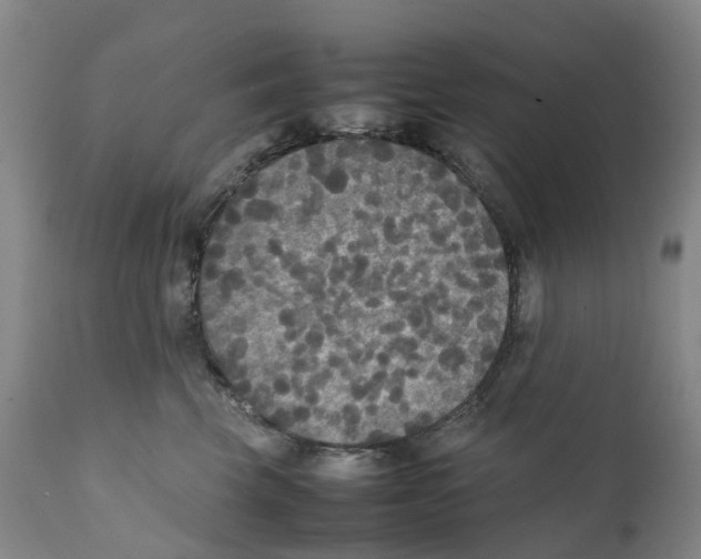 X0000111250569200907231556