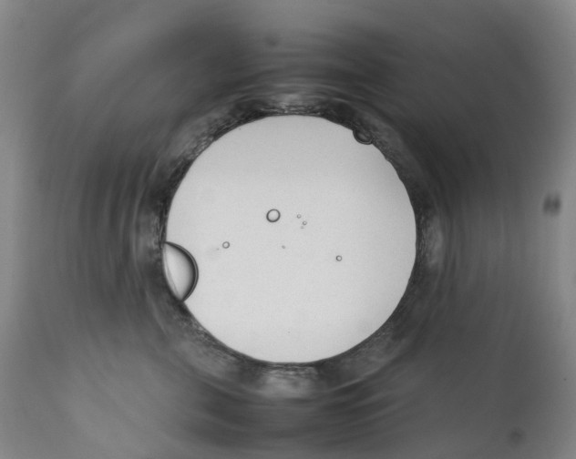 X0000111250571200907231556