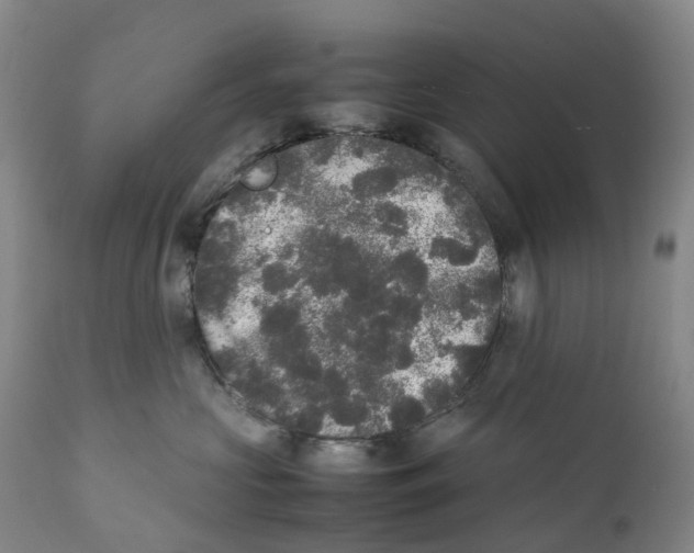 X0000111250573200907231556