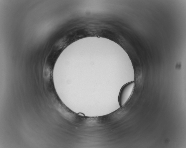 X0000111250574200907231556