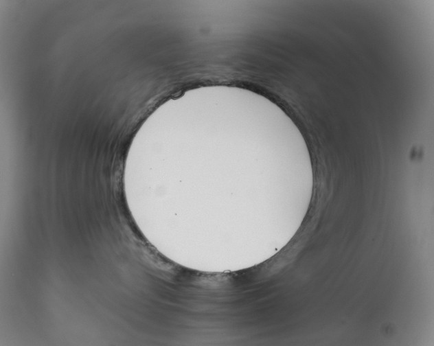 X0000111250576200907231556