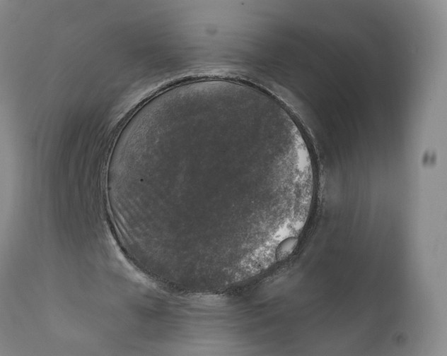 X0000111250577200907231555