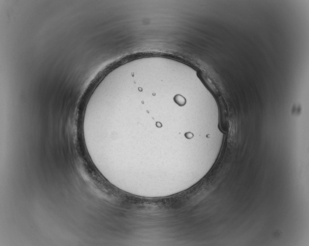 X0000111250580200907231555