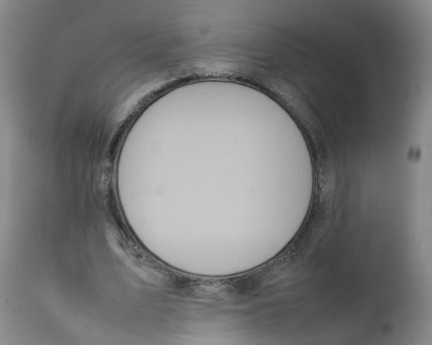 X0000111250583200907231555