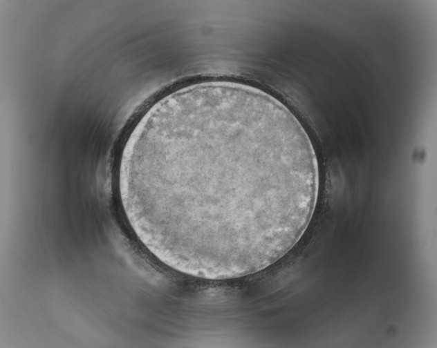 X0000111250584200907231555