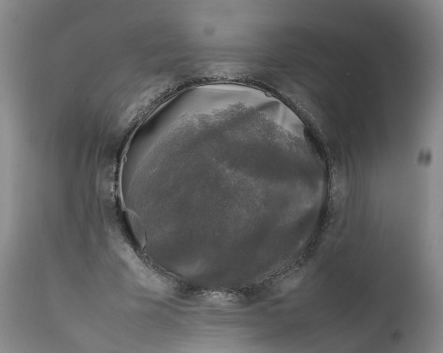 X0000111250585200907231555