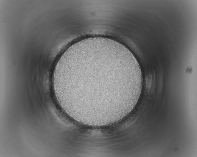 X0000111250588200907231555