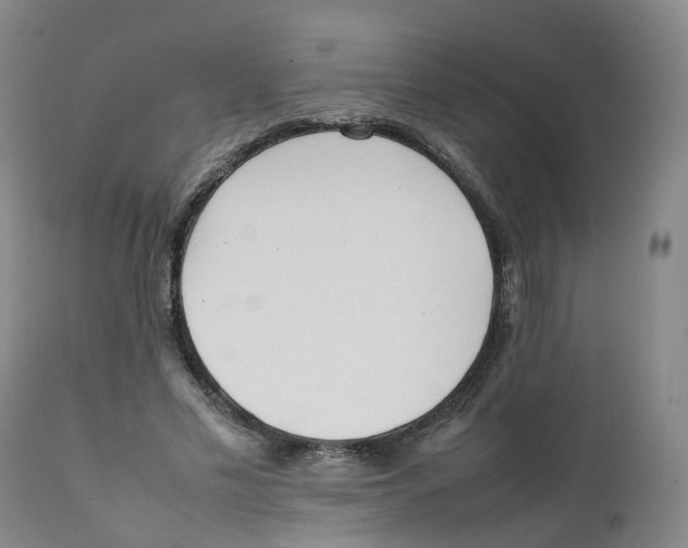 X0000111250589200907231555