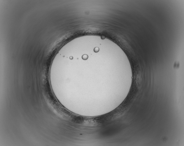 X0000111250591200907231555