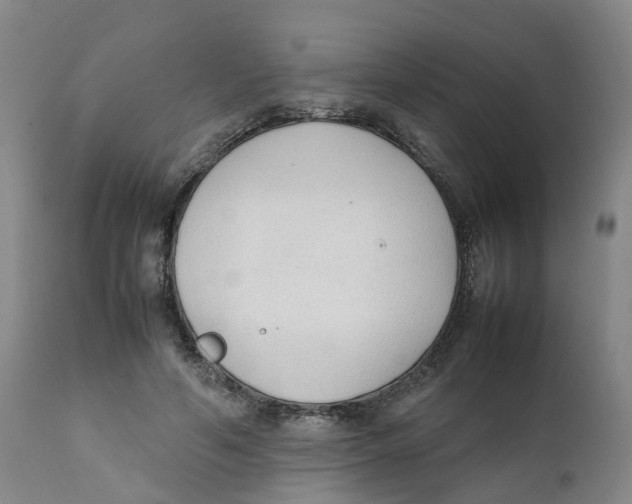 X0000111250594200907231555