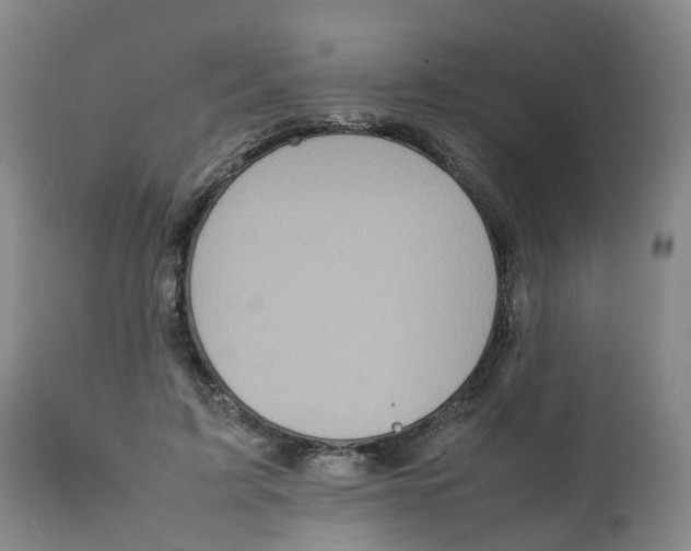 X0000111250595200907231555