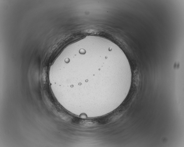 X0000111250597200907231555