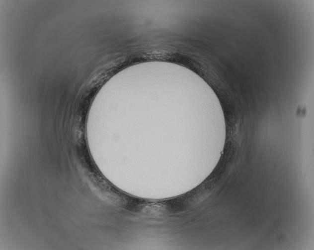 X0000111250599200907231555