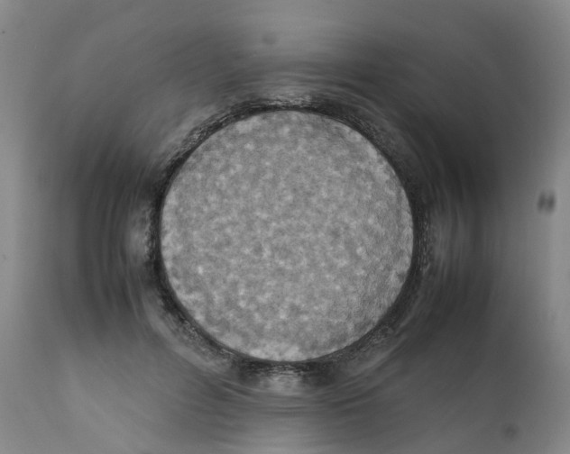 X0000111250600200907231555