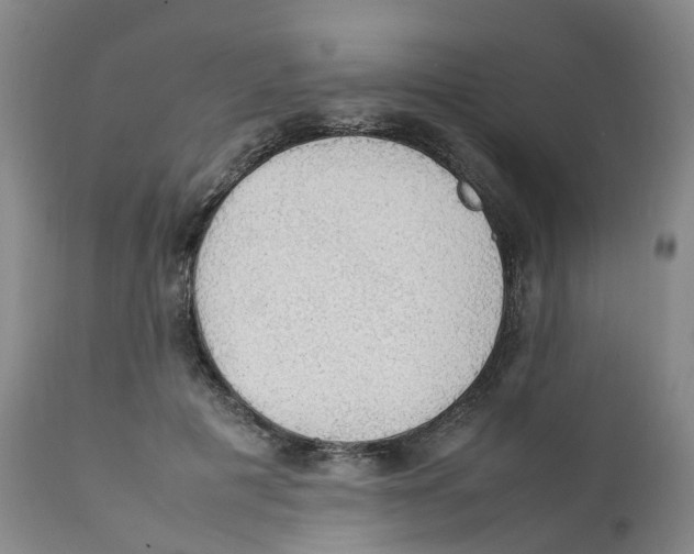 X0000111250601200907231555