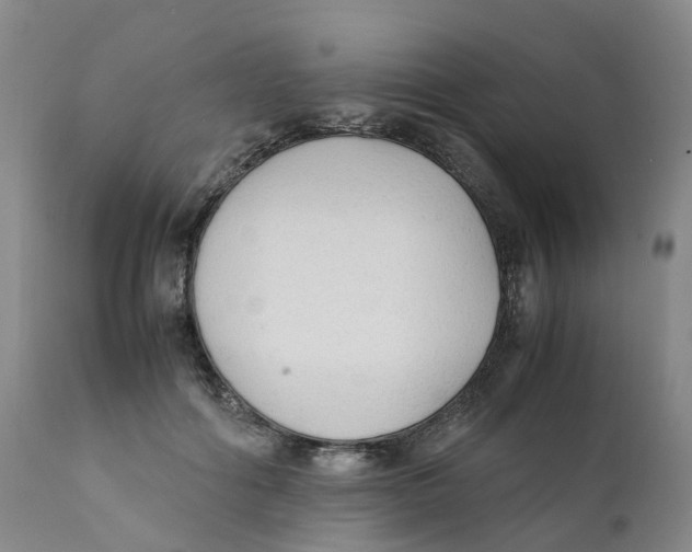 X0000111250602200907231554