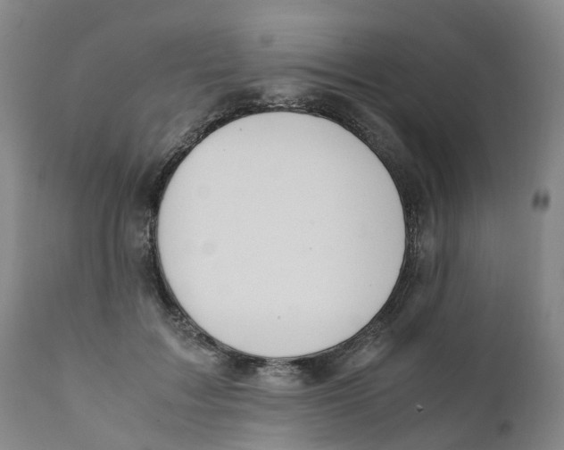 X0000111250603200907231554