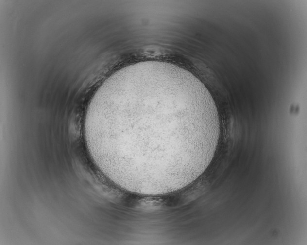 X0000111250606200907231554