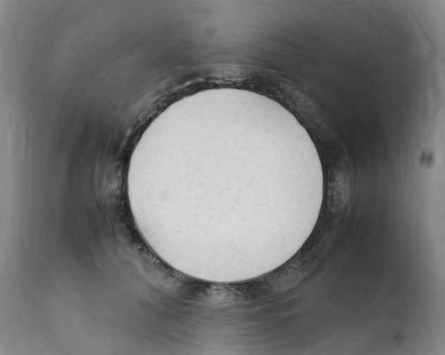 X0000111250608200907231554