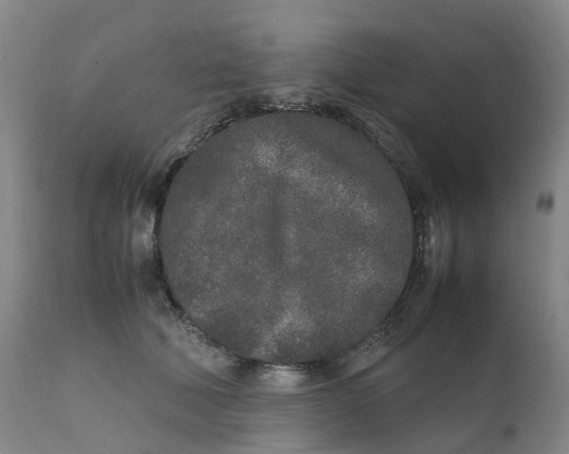 X0000111250610200907231554