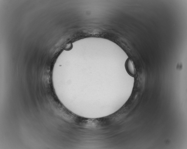 X0000111250612200907231554