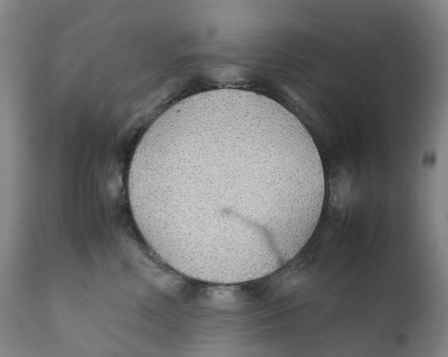 X0000111250618200907231554