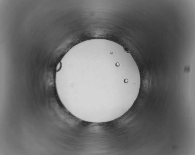 X0000111250620200907231554