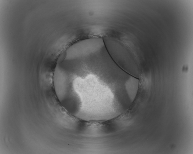 X0000111250621200907231554