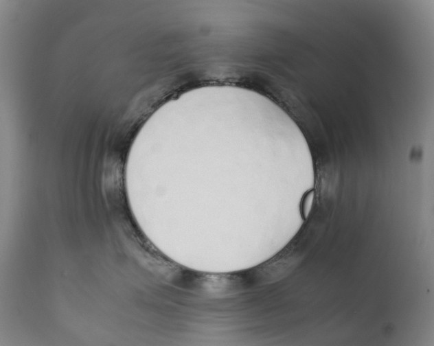 X0000111250623200907231554